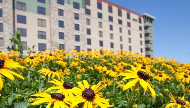 Great Wolf Lodge Блумингтон Экстерьер фото