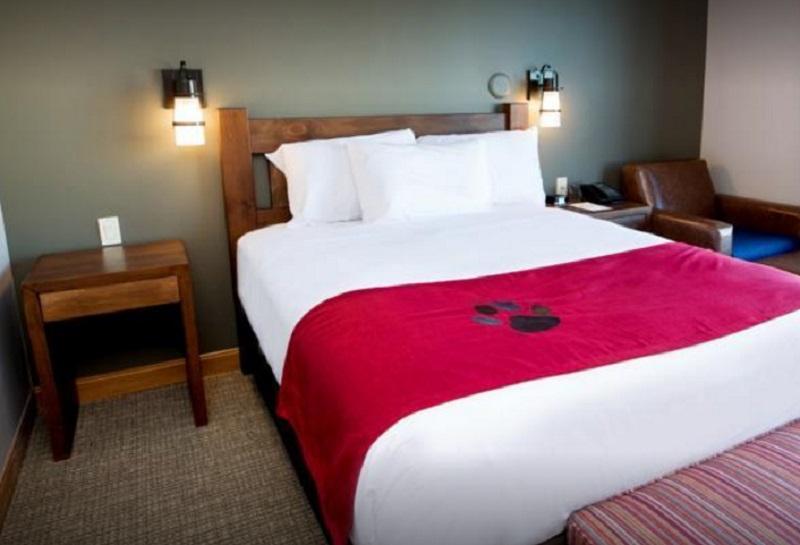 Great Wolf Lodge Блумингтон Экстерьер фото